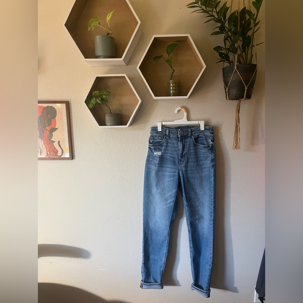 AE Mom Jeans